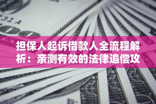 济南担保人起诉借款人全流程解析：亲测有效的法律追偿攻略