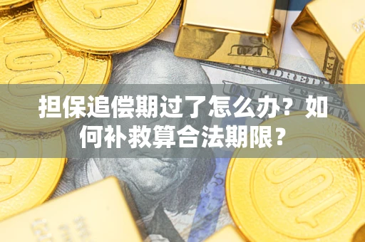 济南担保追偿期过了怎么办？如何补救算合法期限？