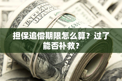 济南担保追偿期限怎么算？过了能否补救？